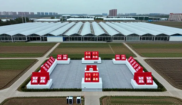 电子产品使用中的关键节点维护建议